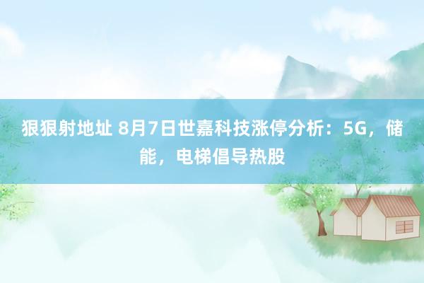 狠狠射地址 8月7日世嘉科技涨停分析：5G，储能，电梯倡导热股