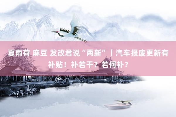 夏雨荷 麻豆 发改君说“两新”丨汽车报废更新有补贴！补若干？若何补？