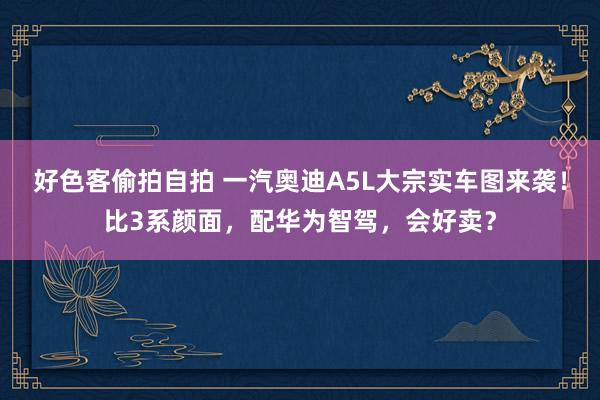 好色客偷拍自拍 一汽奥迪A5L大宗实车图来袭！比3系颜面，配华为智驾，会好卖？