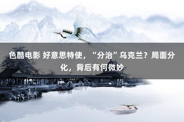 色酷电影 好意思特使，“分治”乌克兰？局面分化，背后有何微妙