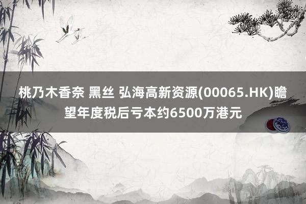 桃乃木香奈 黑丝 弘海高新资源(00065.HK)瞻望年度税后亏本约6500万港元