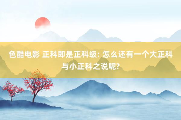 色酷电影 正科即是正科级: 怎么还有一个大正科与小正科之说呢?