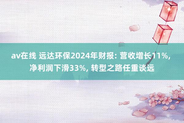 av在线 远达环保2024年财报: 营收增长11%， 净利润下滑33%， 转型之路任重谈远