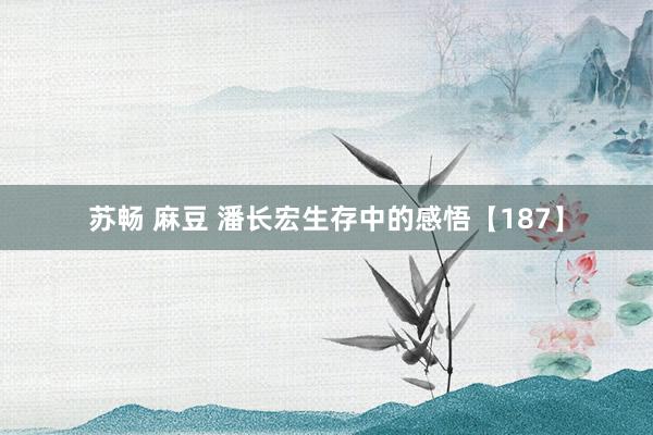 苏畅 麻豆 潘长宏生存中的感悟【187】