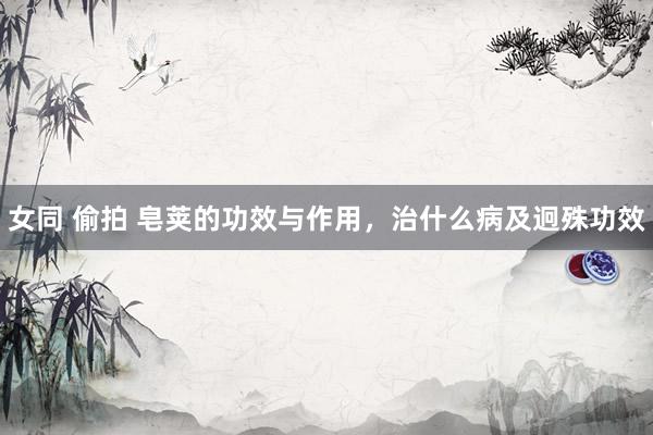 女同 偷拍 皂荚的功效与作用，治什么病及迥殊功效